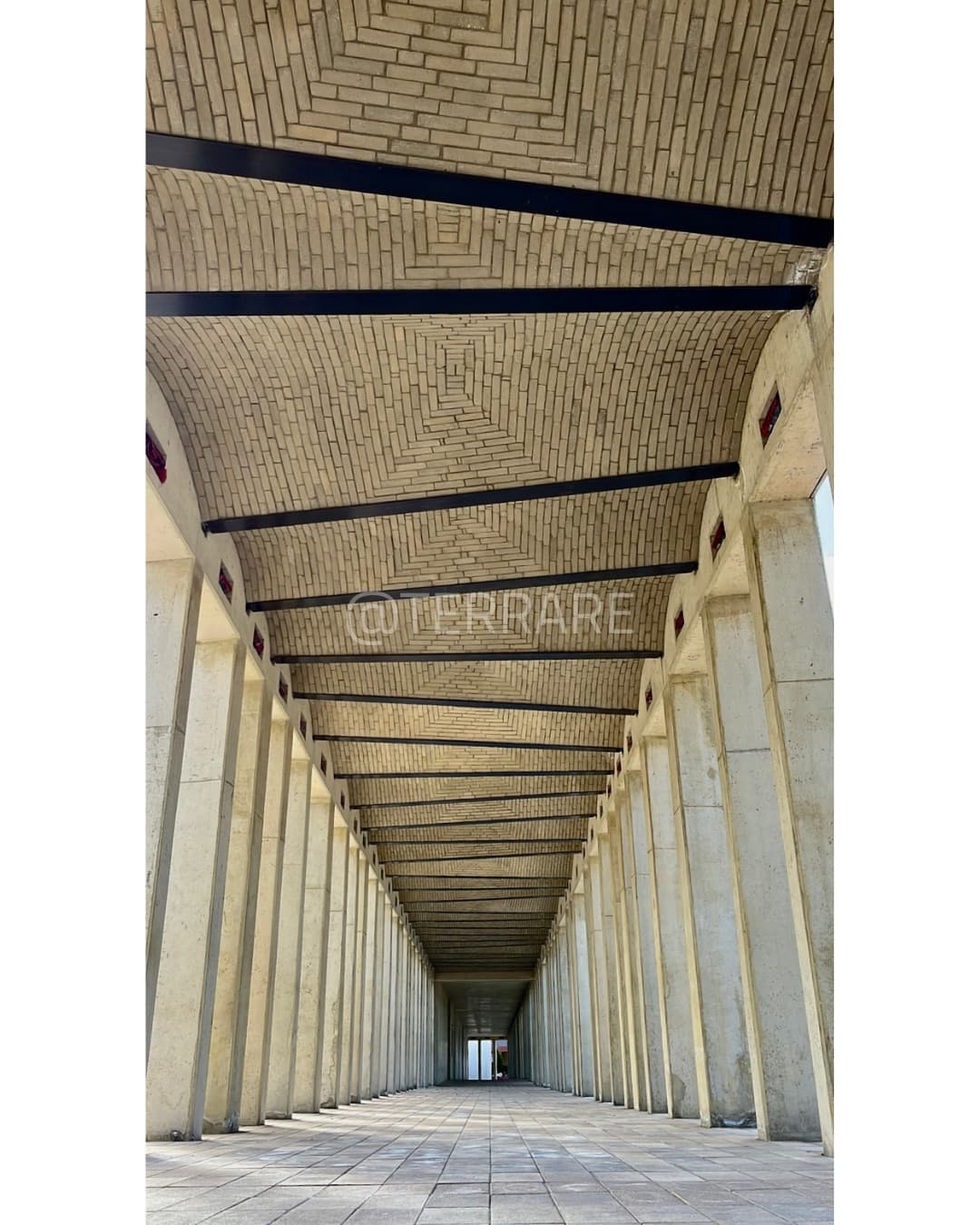 Construcción Terrare 1