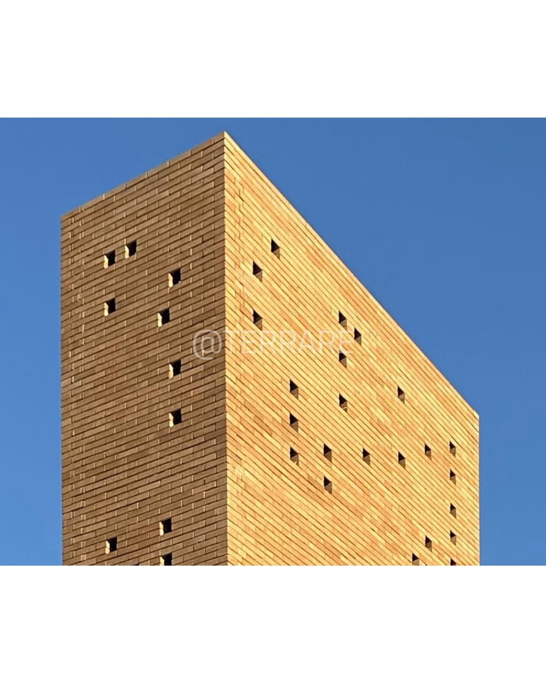 Construcción Terrare 2