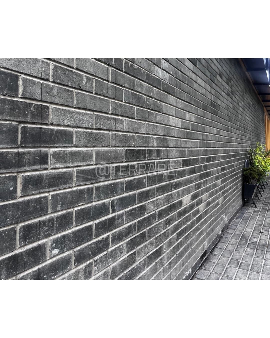 Construcción Terrare 7